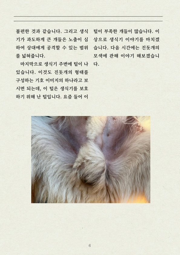 진돗개 는 먼가 다릅니다! | 인스티즈