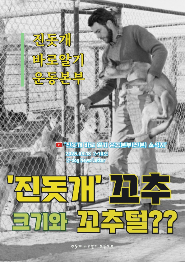  진돗개 는 먼가 다릅니다!