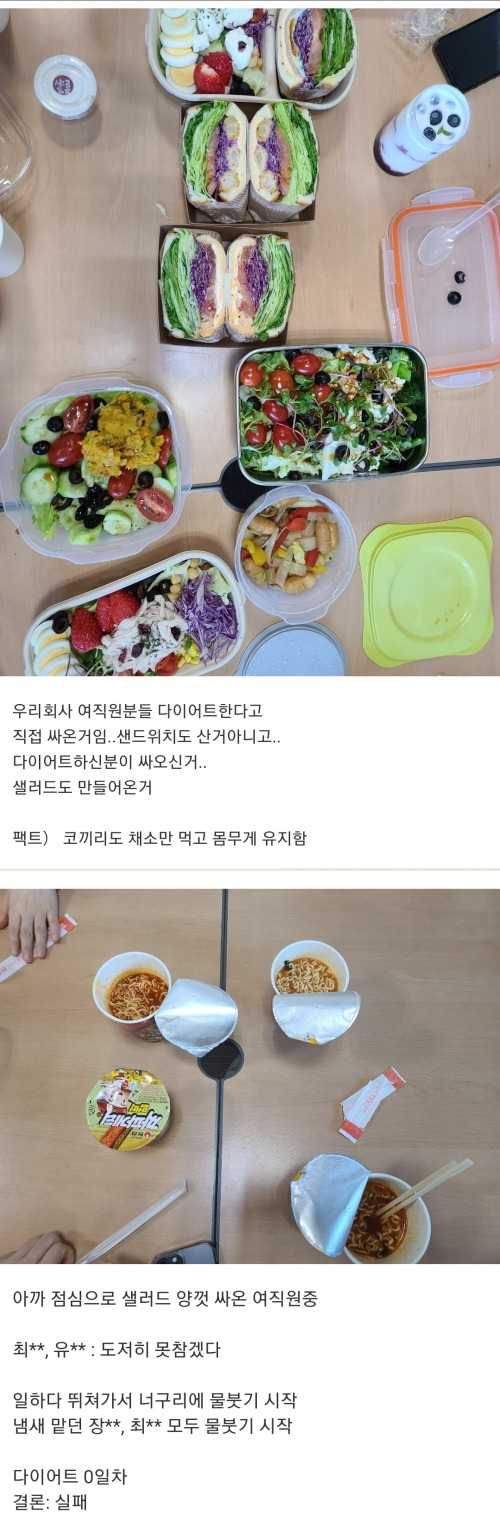  회사 직원들의 다이어트