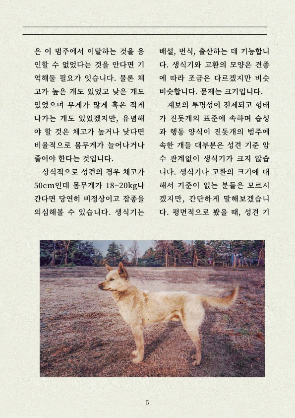 진돗개 는 먼가 다릅니다! | 인스티즈