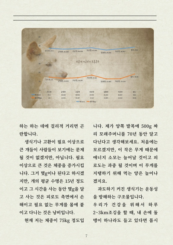 진돗개 는 먼가 다릅니다! | 인스티즈