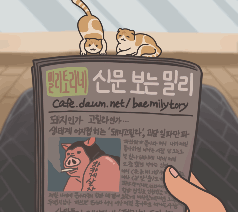  추우면 모서리로 가야하는 이유