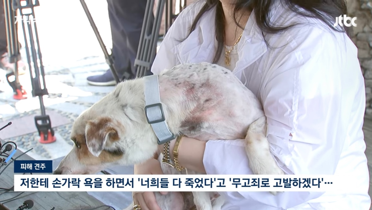 비비탄 맞아 죽은 강아지 견주를 협박했다는 가해자 가족 | 인스티즈