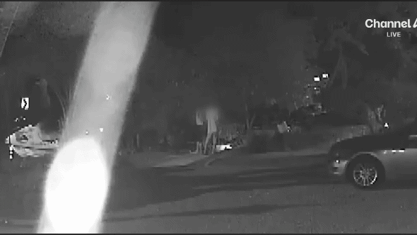  CCTV 공개된 거제 비비탄 노견 사망 사건.gif2