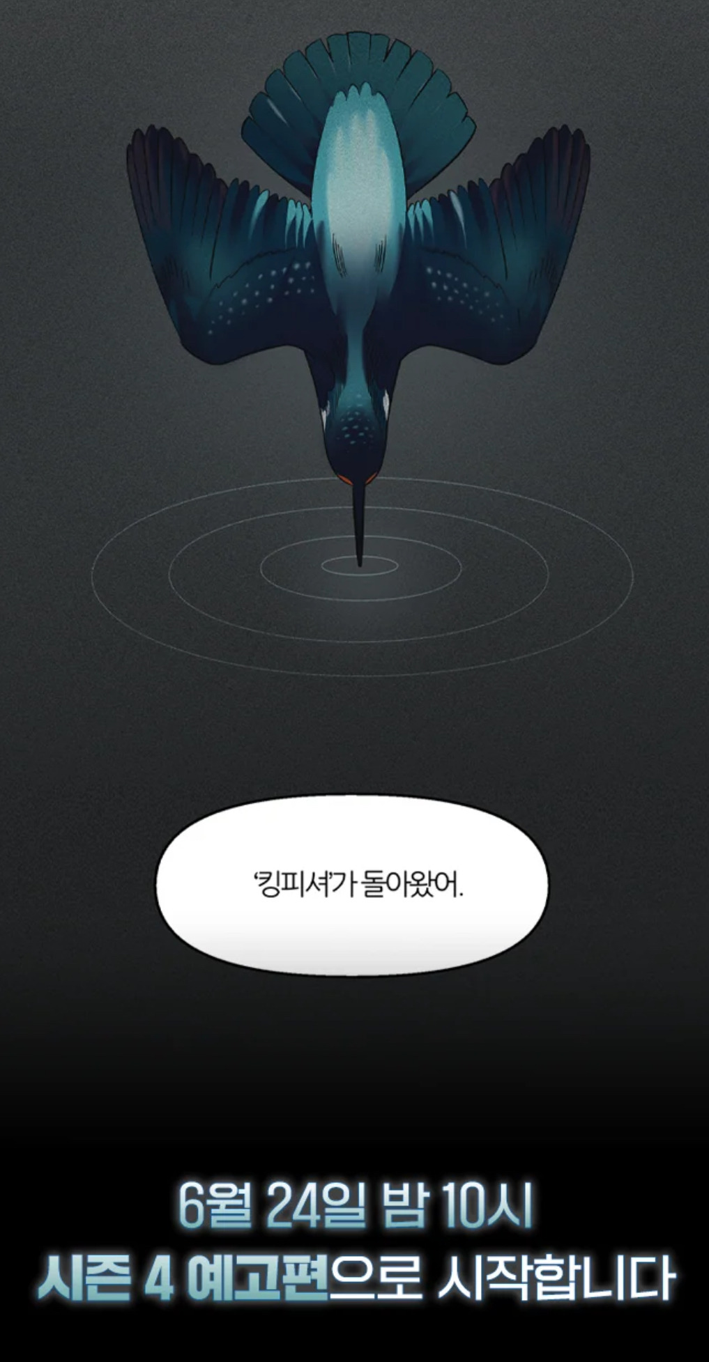 &apos;킹피셔&apos;가 돌아왔어