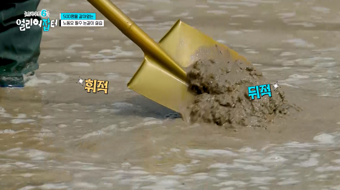 개신기한 병아리 꿈틀대면서 부화하는 모습...jpg | 인스티즈
