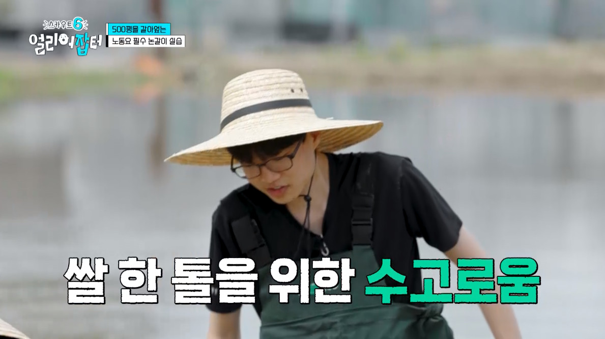 개신기한 병아리 꿈틀대면서 부화하는 모습...jpg | 인스티즈