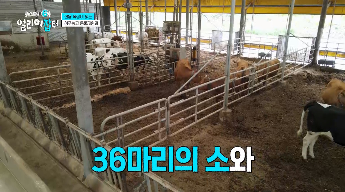 개신기한 병아리 꿈틀대면서 부화하는 모습...jpg | 인스티즈