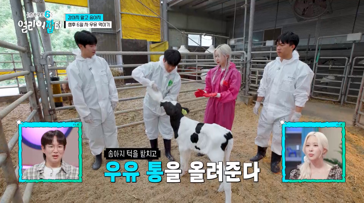 개신기한 병아리 꿈틀대면서 부화하는 모습...jpg | 인스티즈