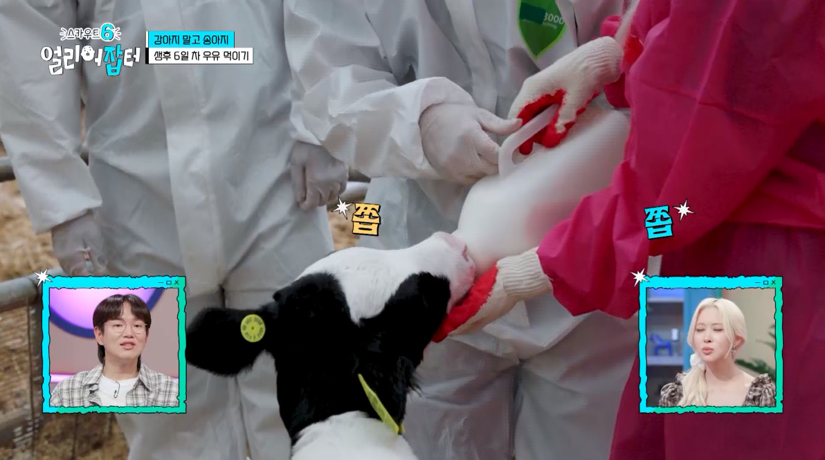 개신기한 병아리 꿈틀대면서 부화하는 모습...jpg | 인스티즈
