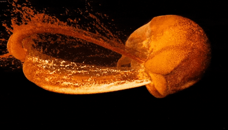 달이 지구에서 떨어져 나간 이유 | 인스티즈