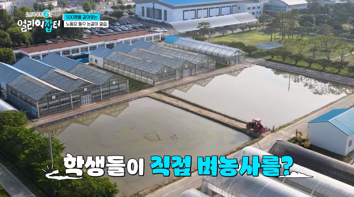 개신기한 병아리 꿈틀대면서 부화하는 모습...jpg | 인스티즈