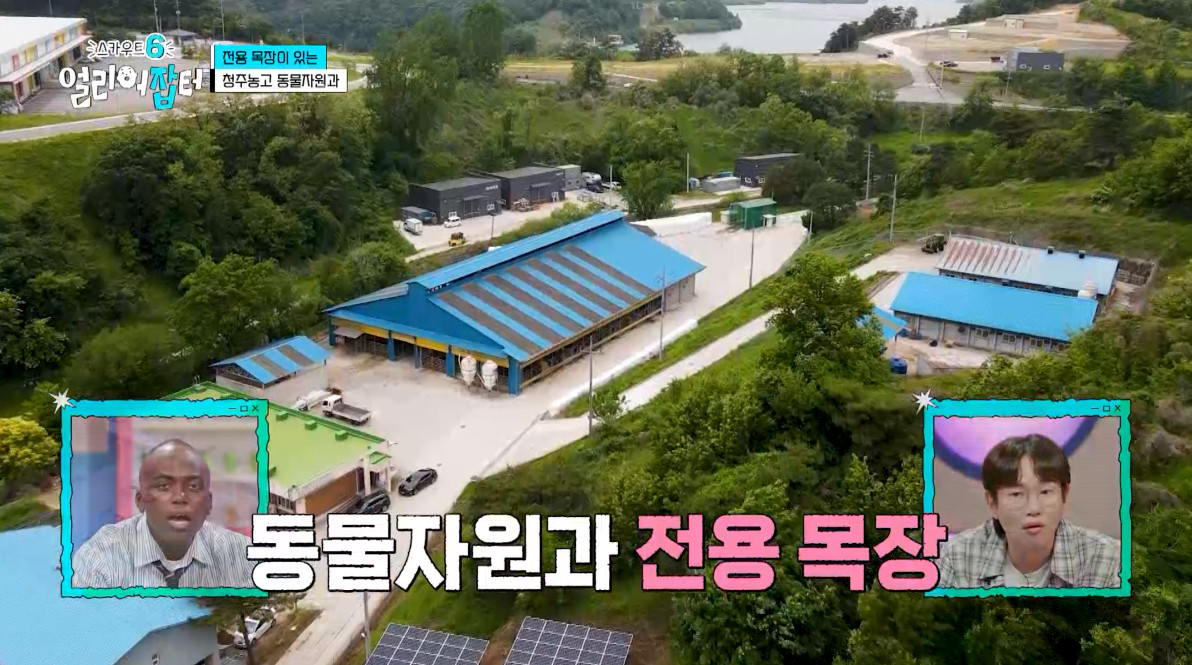 개신기한 병아리 꿈틀대면서 부화하는 모습...jpg | 인스티즈