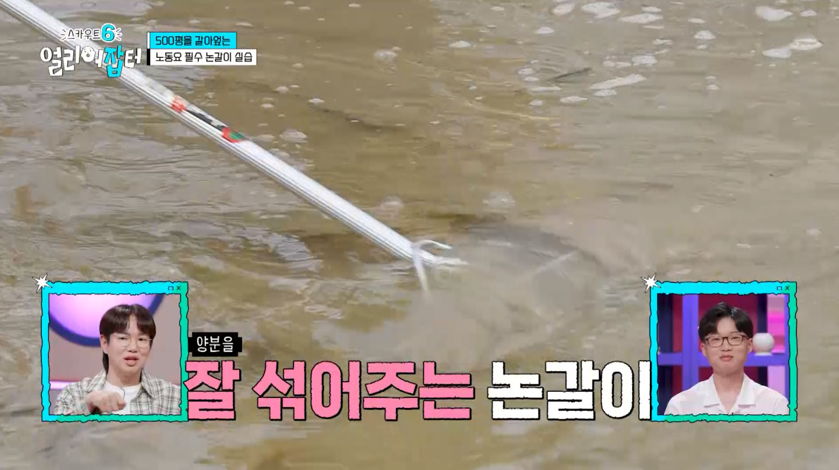 개신기한 병아리 꿈틀대면서 부화하는 모습...jpg | 인스티즈