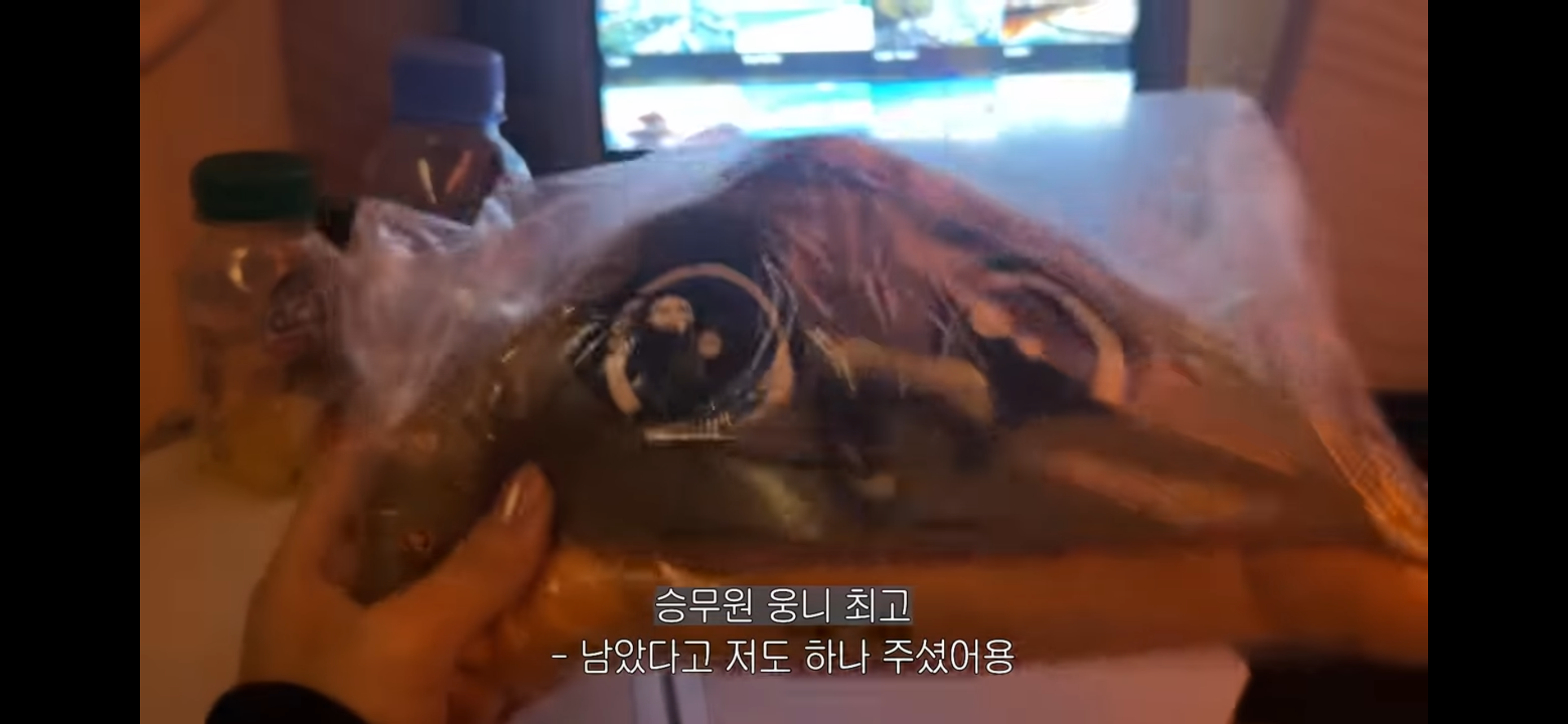 세계 최초 전쟁 피란 브이로그 | 인스티즈