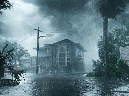 연락이 안되는 아빠가 걱정되서 집에 가봤더니 강아지가 지하실을 계속 응시하길래...gif | 인스티즈