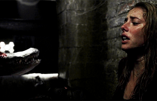 연락이 안되는 아빠가 걱정되서 집에 가봤더니 강아지가 지하실을 계속 응시하길래...gif | 인스티즈