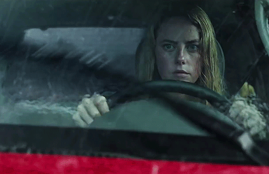 연락이 안되는 아빠가 걱정되서 집에 가봤더니 강아지가 지하실을 계속 응시하길래...gif | 인스티즈