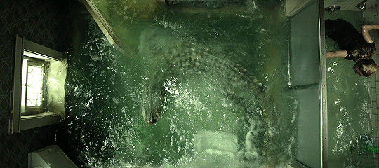 연락이 안되는 아빠가 걱정되서 집에 가봤더니 강아지가 지하실을 계속 응시하길래...gif | 인스티즈