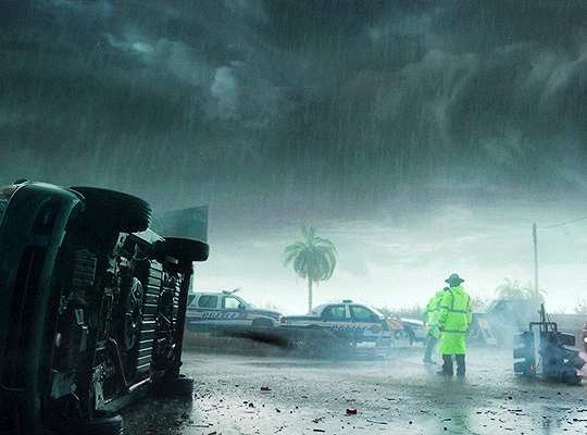 연락이 안되는 아빠가 걱정되서 집에 가봤더니 강아지가 지하실을 계속 응시하길래...gif | 인스티즈