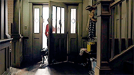 연락이 안되는 아빠가 걱정되서 집에 가봤더니 강아지가 지하실을 계속 응시하길래...gif | 인스티즈