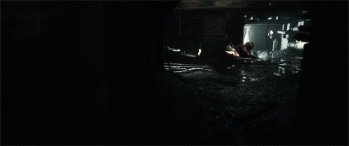 연락이 안되는 아빠가 걱정되서 집에 가봤더니 강아지가 지하실을 계속 응시하길래...gif | 인스티즈