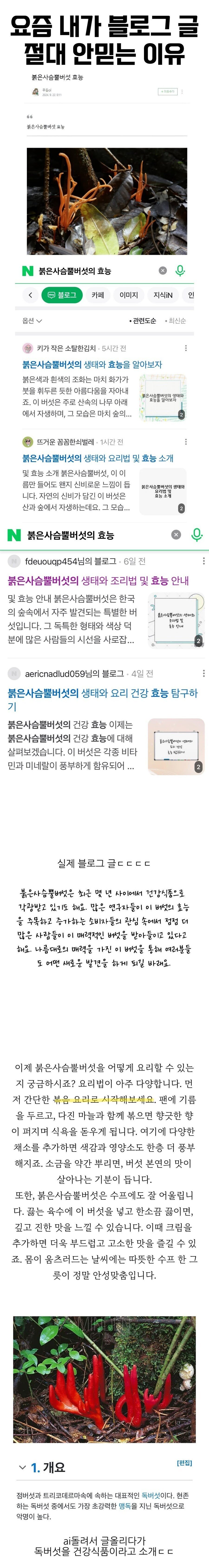 요즘 ㄴㅇㅂ 블로그 글 근황 | 인스티즈