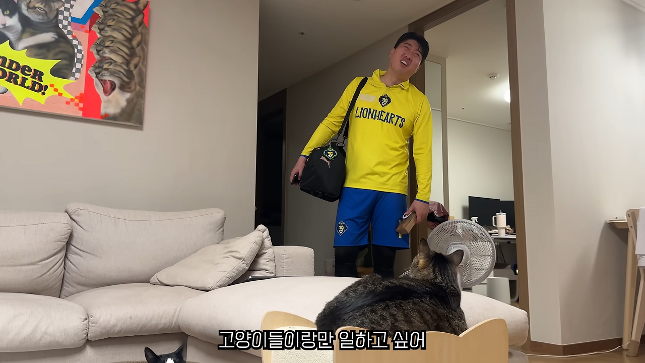 고양이집사라면 공감할수밖에 없는 고팔남의 명언 | 인스티즈