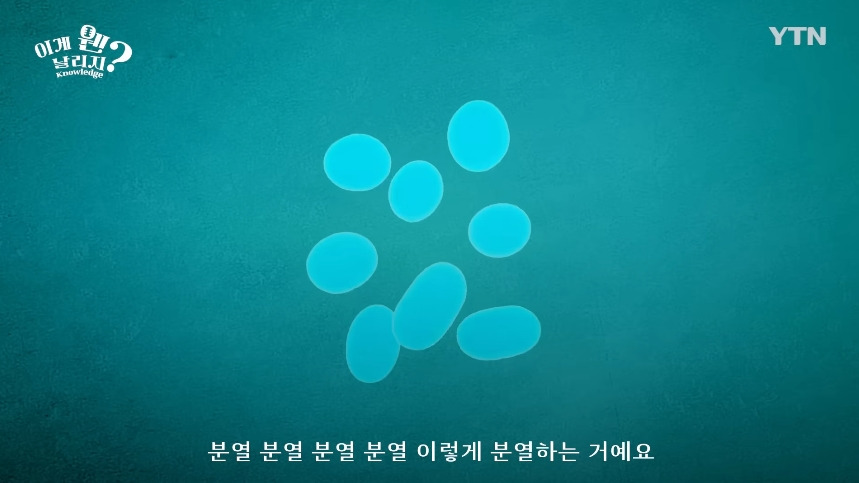 혈당 관리 안하면 빨리 늙는 이유.jpg | 인스티즈