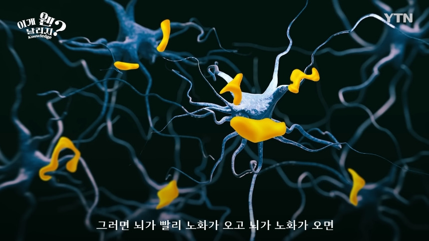 혈당 관리 안하면 빨리 늙는 이유.jpg | 인스티즈