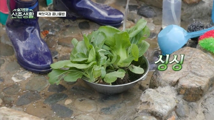 [슬기로운 산촌생활] 설득력 오지는 김대명 | 인스티즈