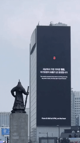 요즘 서울 광화문에 나타나는 호랑이 | 인스티즈