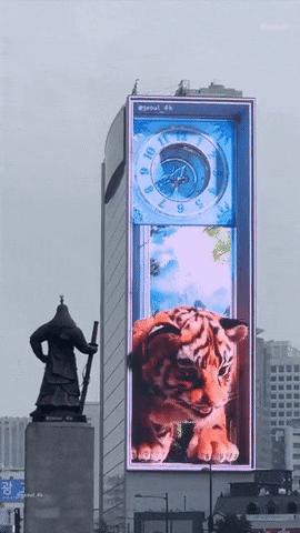 요즘 서울 광화문에 나타나는 호랑이 | 인스티즈