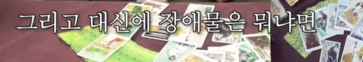 흥미로운 지락실3 운명 타로 | 인스티즈