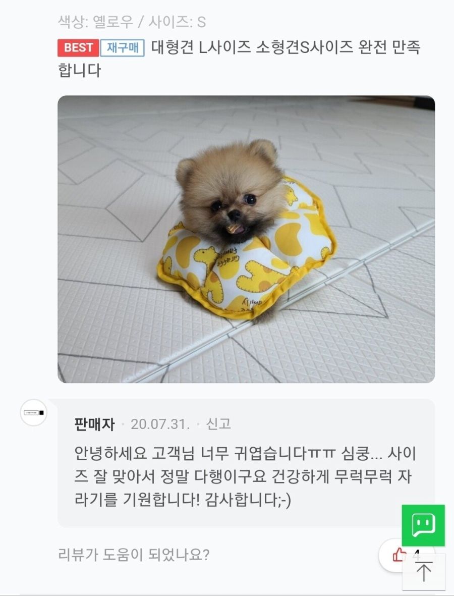 강아지 넥카라 구매 후기라는데 미칠 것 같음... | 인스티즈