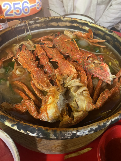 1월1일부터 낮술 땡기는 알콜처돌이의 침샘어택 | 인스티즈