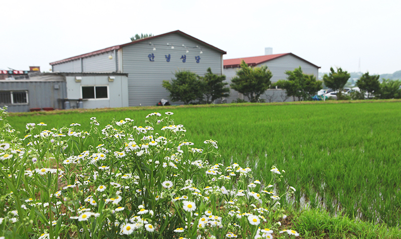 엥? 성당은 종교인데 왜 빚이 있음?.txt | 인스티즈