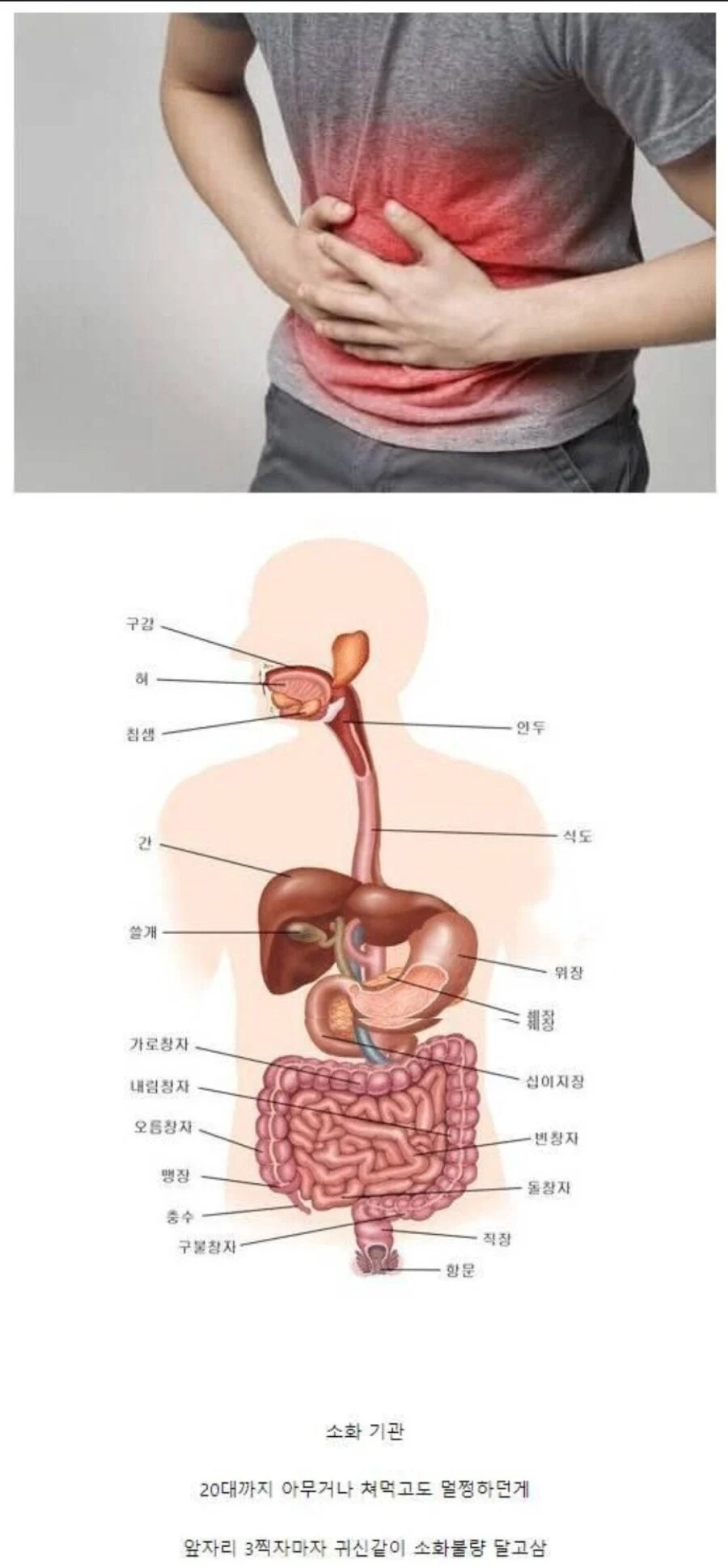 30대부터 체감 느껴질정도로 맛가는 기관.jpg | 인스티즈