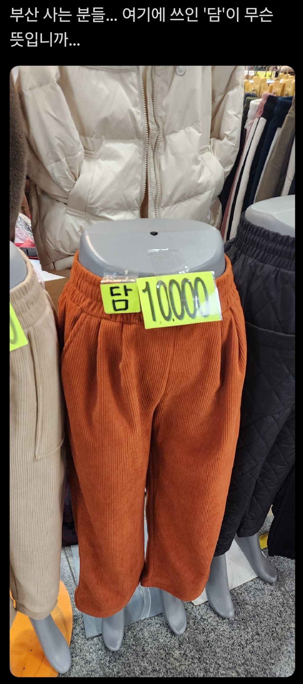 부산 사는 분들...'담'이 무슨 뜻입니까 | 인스티즈