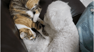 프사 땜에 못참고 사담거는 업체 직원들 넘 웃김 ++ 월요일이니까 조금 더 추가,,, | 인스티즈