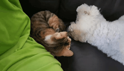 프사 땜에 못참고 사담거는 업체 직원들 넘 웃김 ++ 월요일이니까 조금 더 추가,,, | 인스티즈