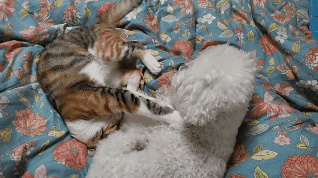 프사 땜에 못참고 사담거는 업체 직원들 넘 웃김 ++ 월요일이니까 조금 더 추가,,, | 인스티즈