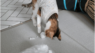 프사 땜에 못참고 사담거는 업체 직원들 넘 웃김 ++ 월요일이니까 조금 더 추가,,, | 인스티즈