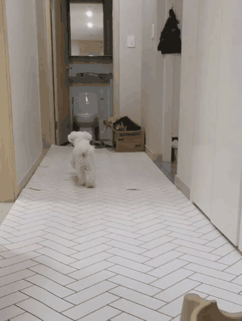 프사 땜에 못참고 사담거는 업체 직원들 넘 웃김 ++ 월요일이니까 조금 더 추가,,, | 인스티즈