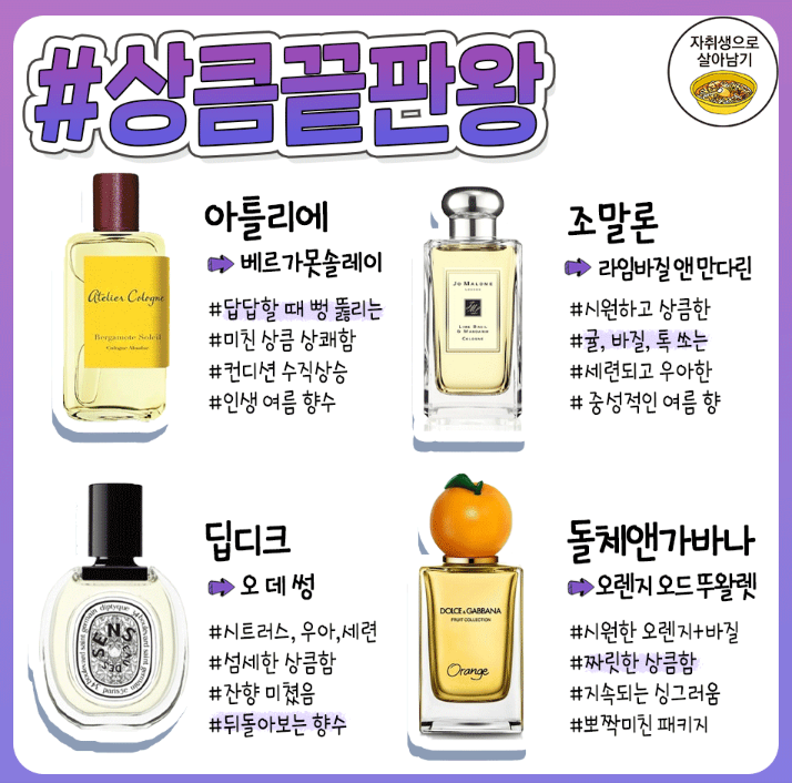 향기종류별 여름 향수 추천.jpg | 인스티즈