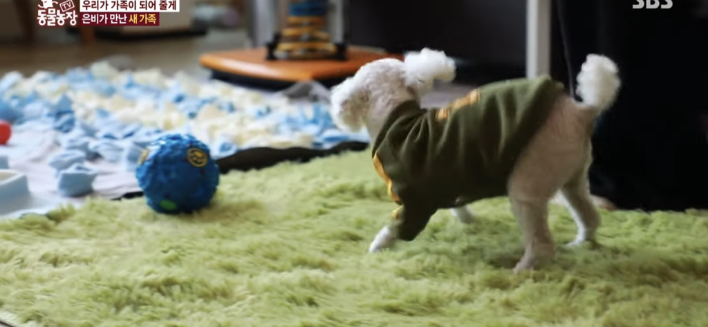 서로를 위해 헤어지는 할머니와 은비 | 인스티즈