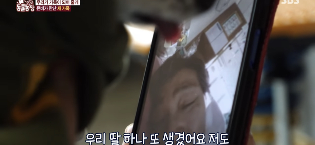 서로를 위해 헤어지는 할머니와 은비 | 인스티즈