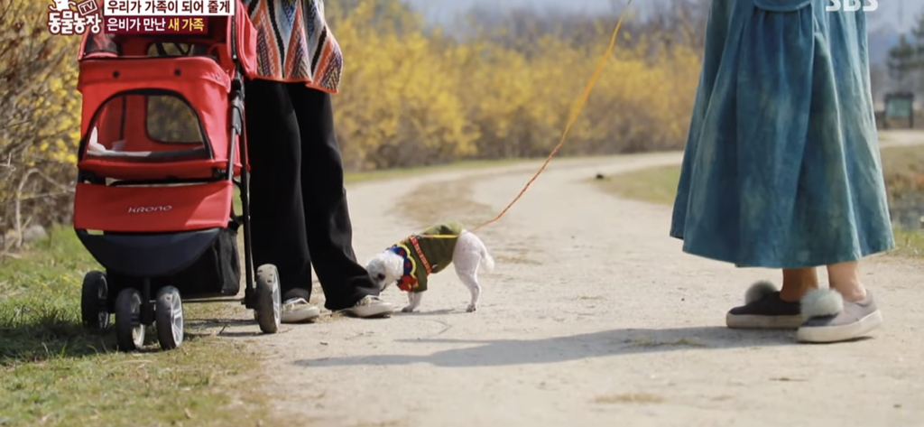 서로를 위해 헤어지는 할머니와 은비 | 인스티즈
