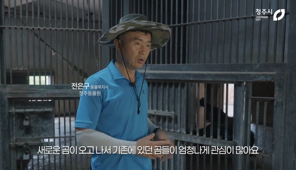 청주동물원 유튜브보는데 뭔 시트콤인줄.jpgif | 인스티즈