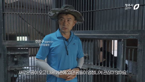 청주동물원 유튜브보는데 뭔 시트콤인줄.jpgif | 인스티즈